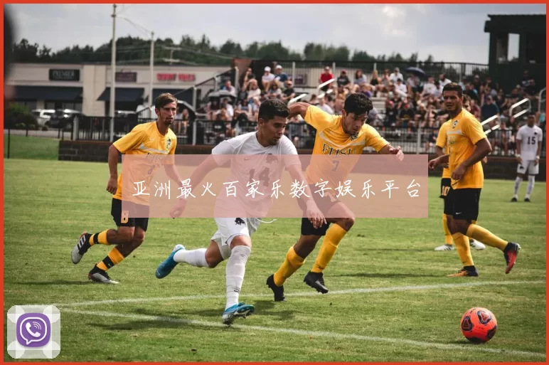 亚洲最火百家乐数字娱乐平台