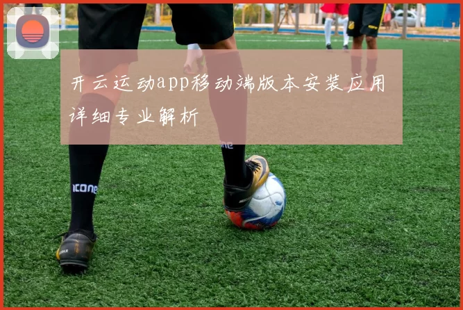 开云运动app移动端版本安装应用 详细专业解析