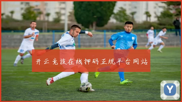 开云竞技在线押码正规平台网站