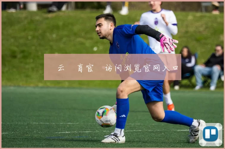 開云體育官網访问浏览官网入口