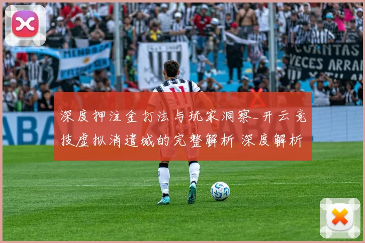 深度押注金打法与玩家洞察_开云竞技虚拟消遣城的完整解析 深度解析