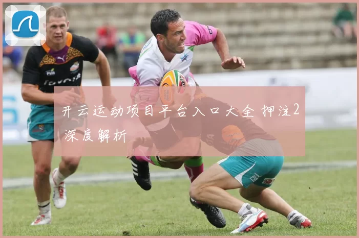 开云运动项目平台入口大全 押注2 深度解析