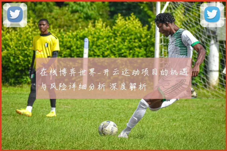 在线博弈世界_开云运动项目的机遇与风险详细分析 深度解析