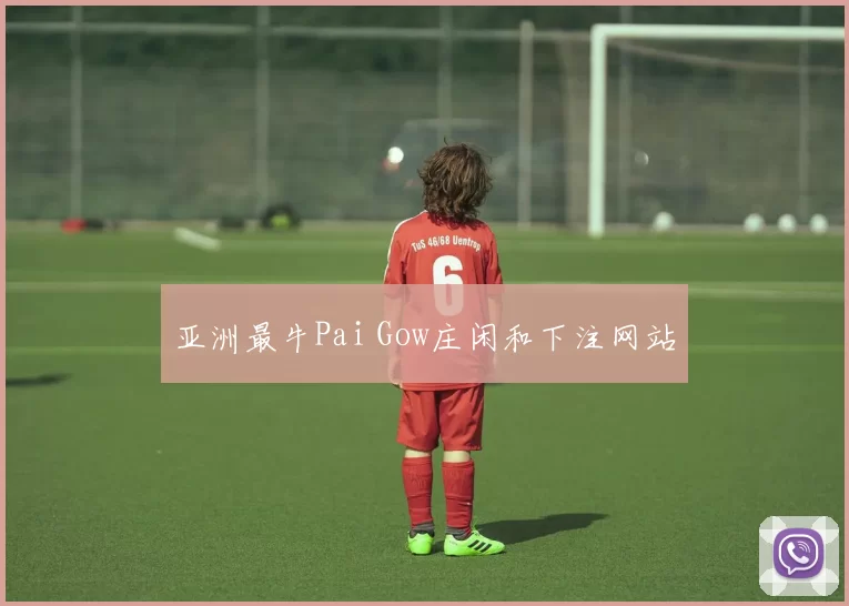 亚洲最牛Pai Gow庄闲和下注网站