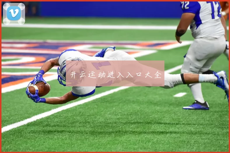 开云运动进入入口大全