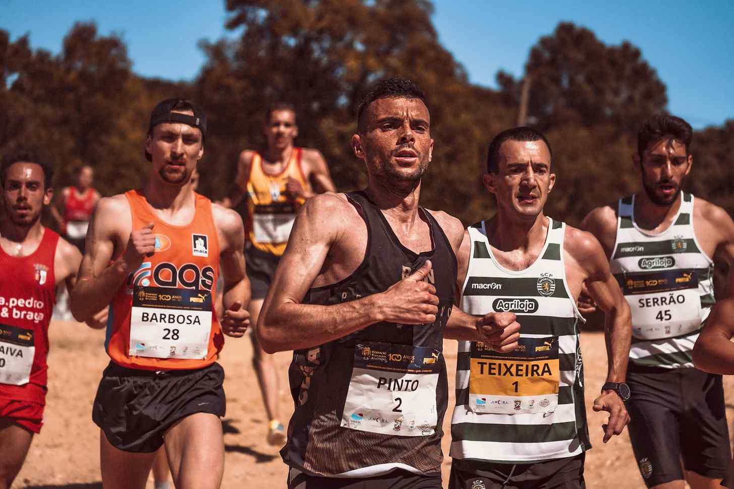 开云体育官网最新信息链接大全 竞技游戏2