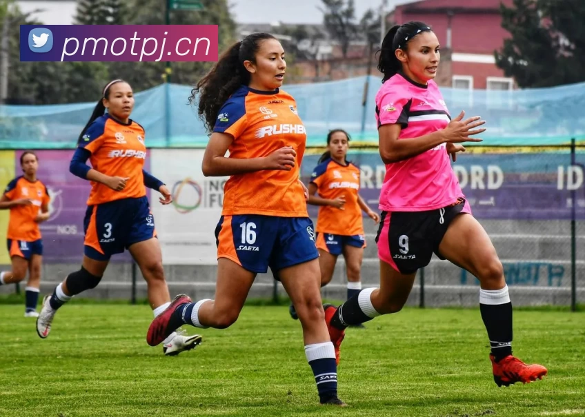 开云网址发展历程